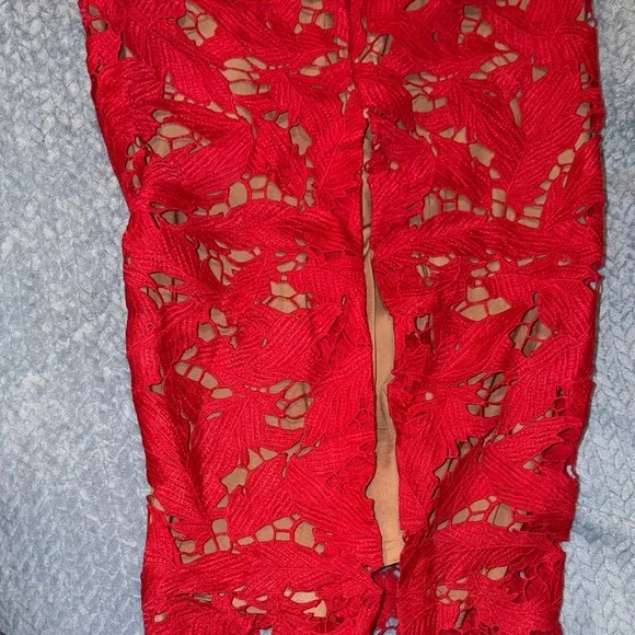 Elegant Red Lace Dress - Picture 5 of 5